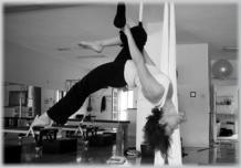Aerialates